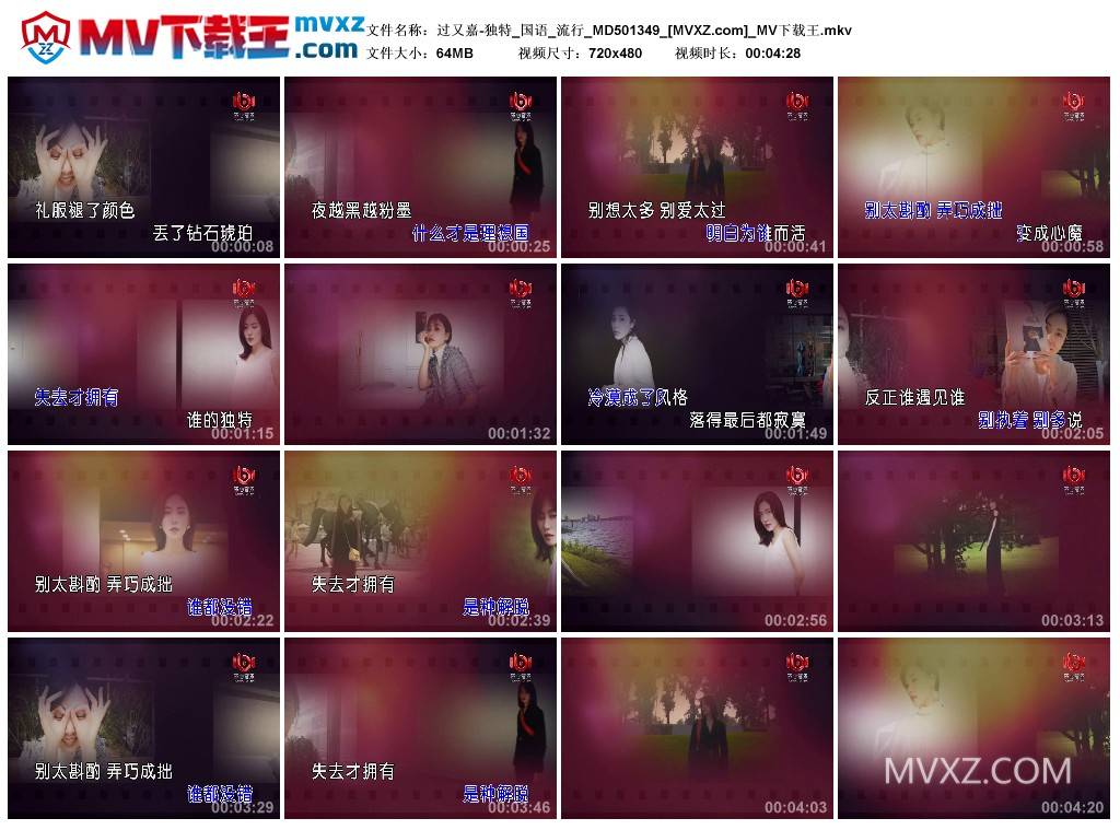 过又嘉-独特_国语_流行_MD501349